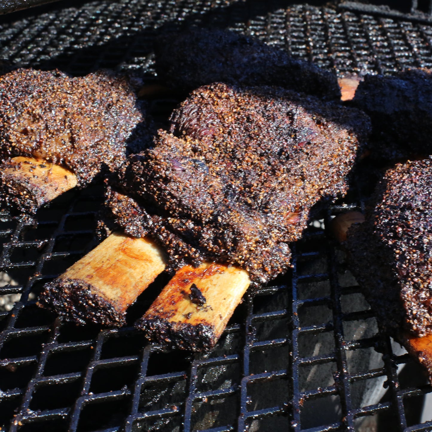 Prime Beef Ribs - 1/2 Rack